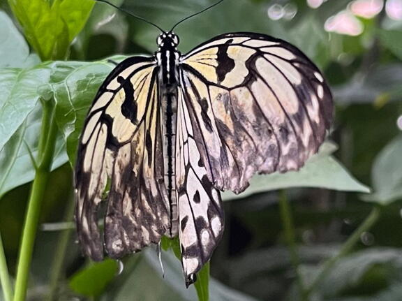 23-09-09 11-15-07 6515